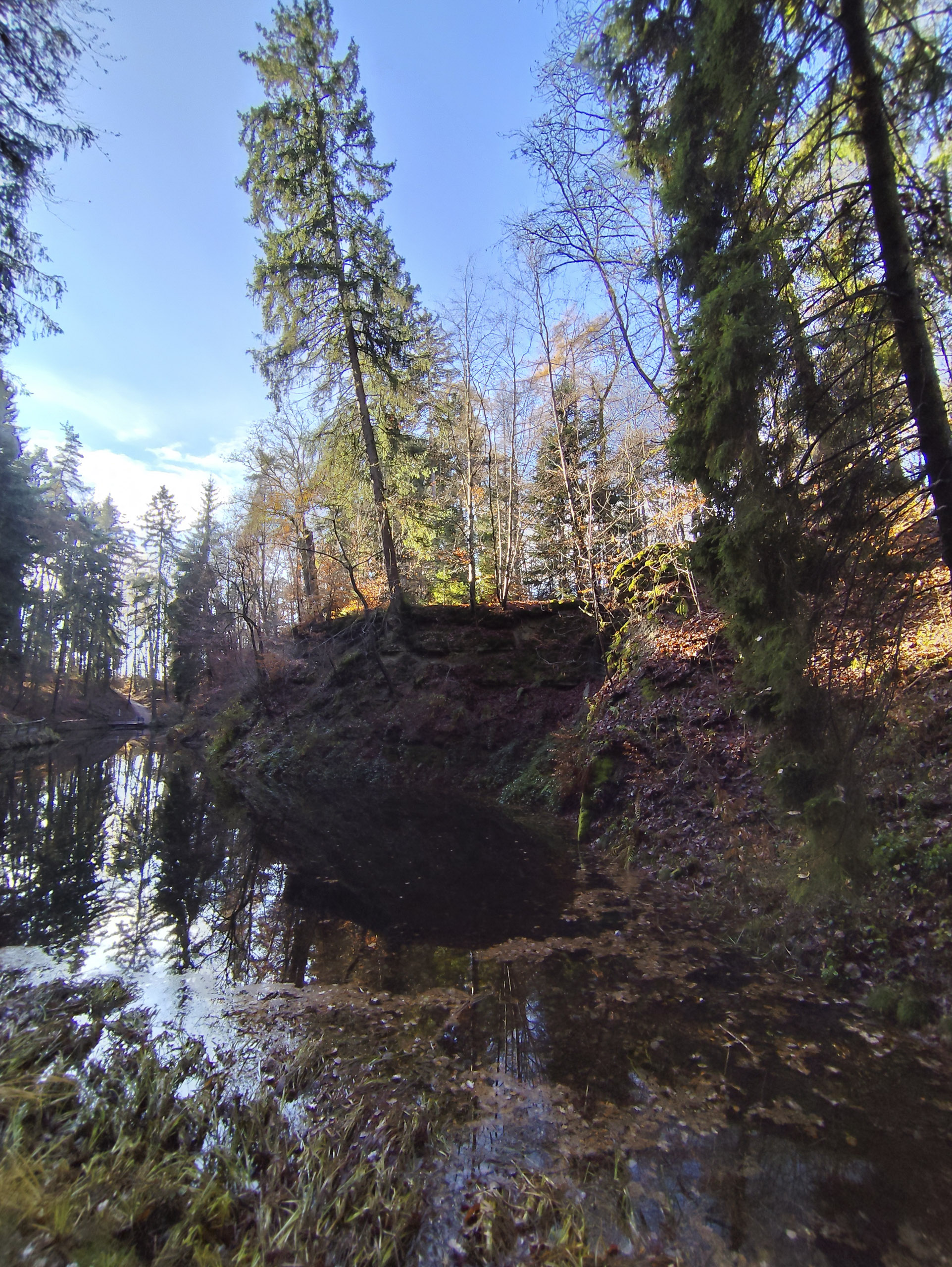 20251129120955 IMG 20251129 120955